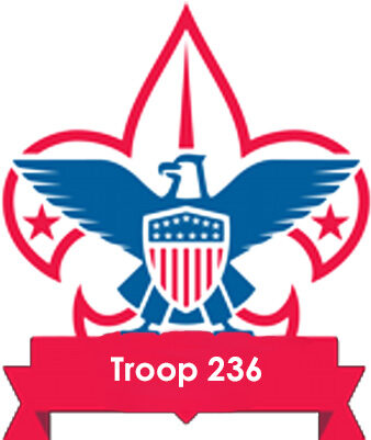 Troop 236